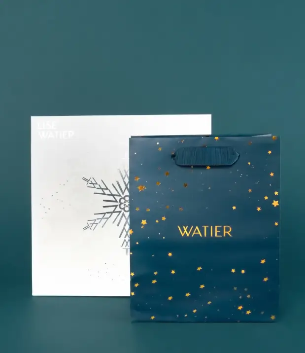 Custom Shopping Bags for Your Business