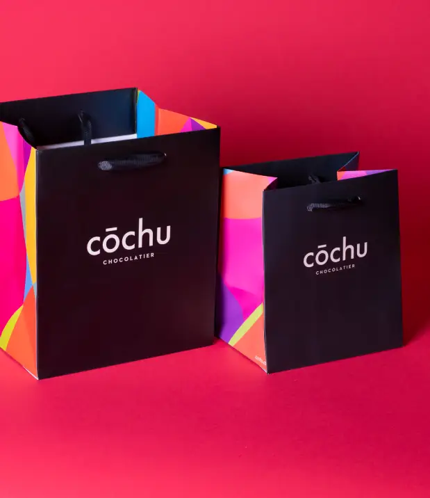 Custom Shopping Bags for Your Business