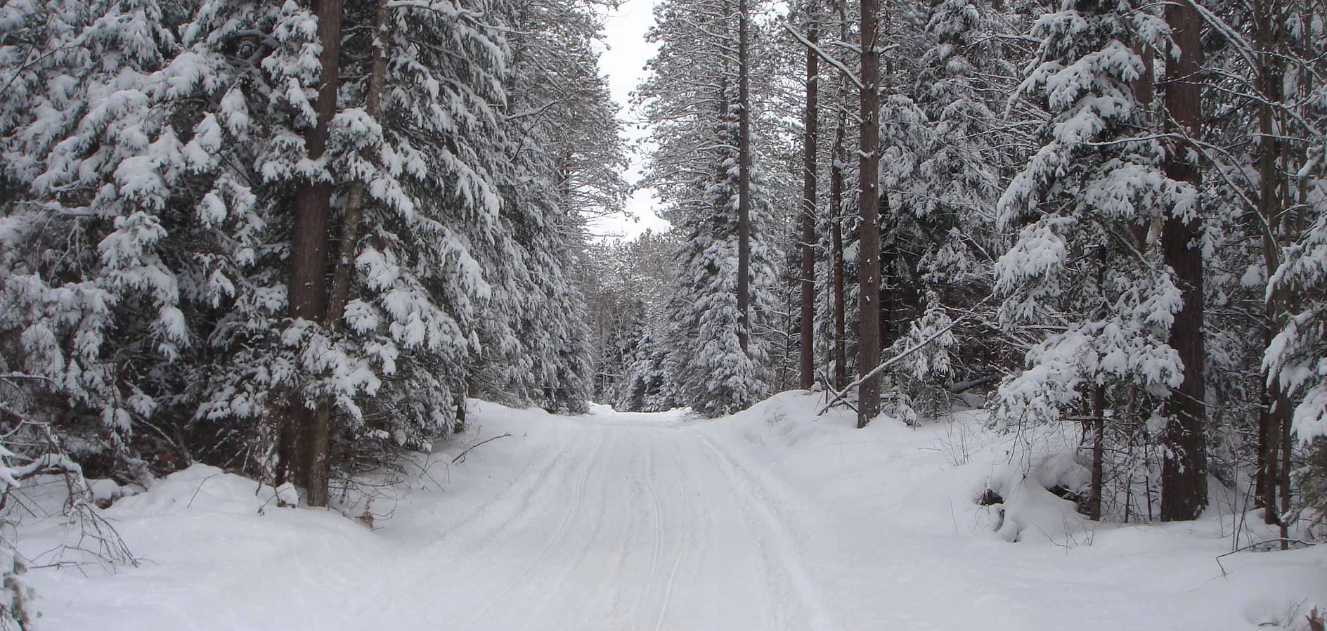 Trailhead Adventure OffRoad ATV SidebySide Rentals Rice Lake, WI