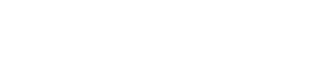 Space 4 Impact Logo.