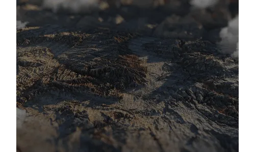 Landscape of the Colossal Biosciences environment which will feature de-extinct species