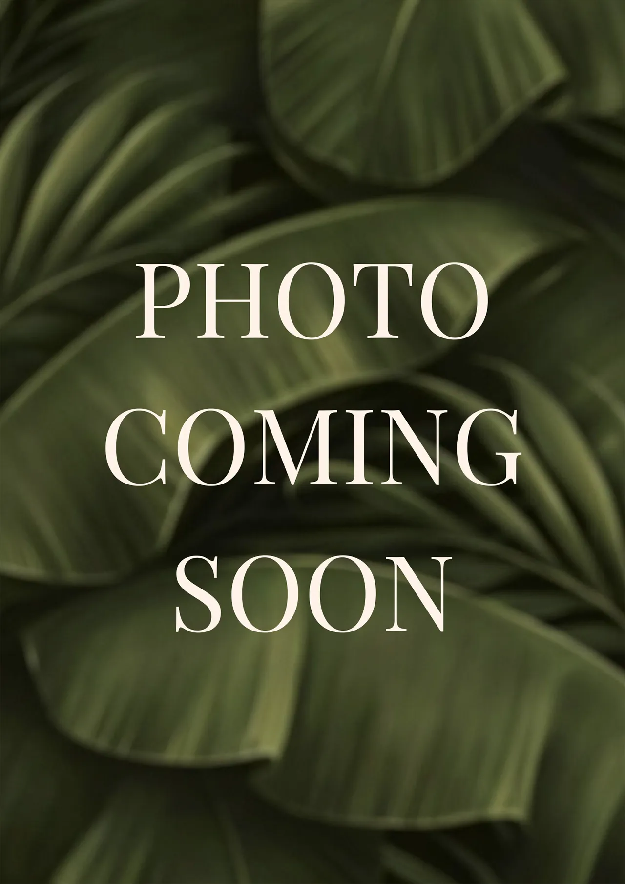 Best Women's Haircuts Las Vegas EVŌQ SALON