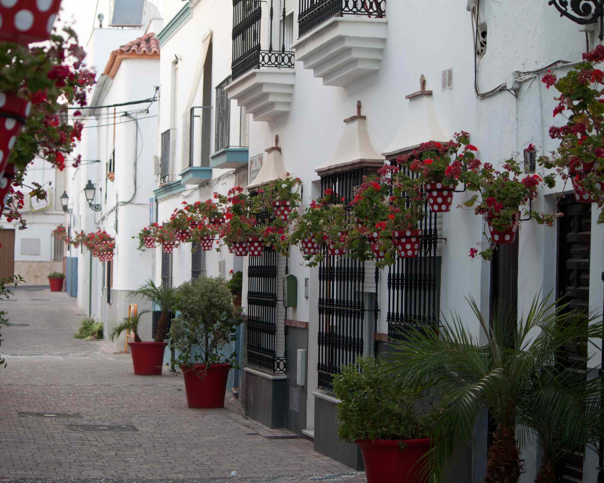 The state of the residential market in Malaga