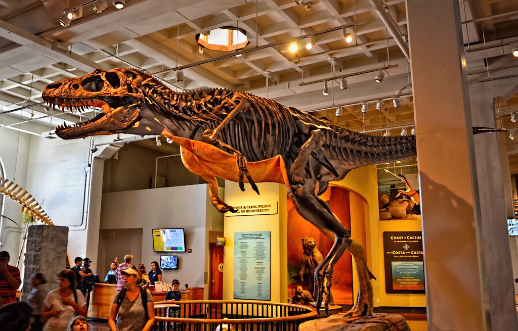 Las Vegas Natural History Museum Dinosaur Exhibit Things to do in Las