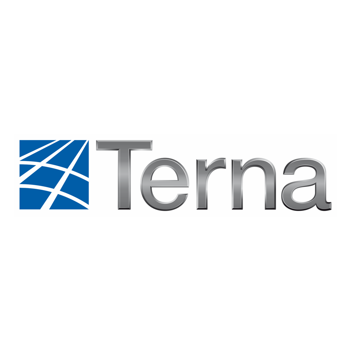 Terna‍