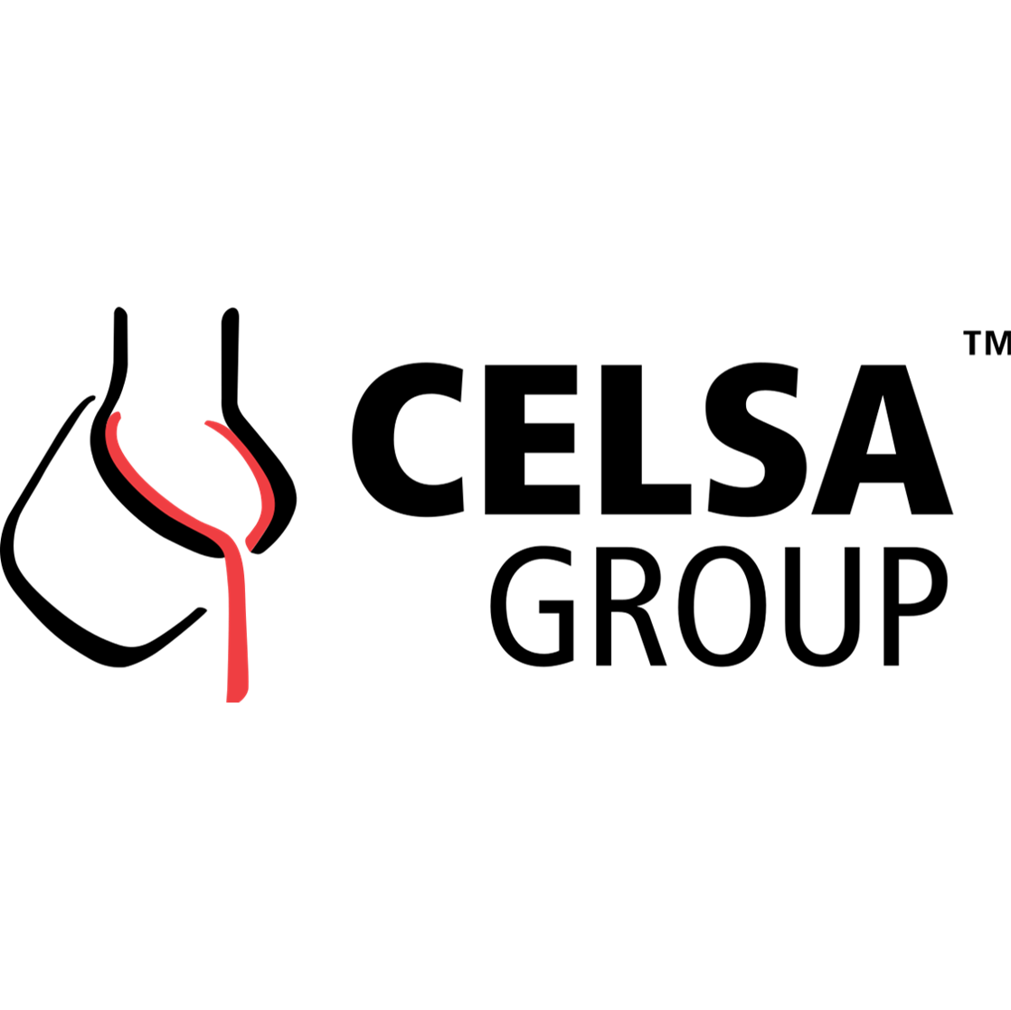 Celsa Group