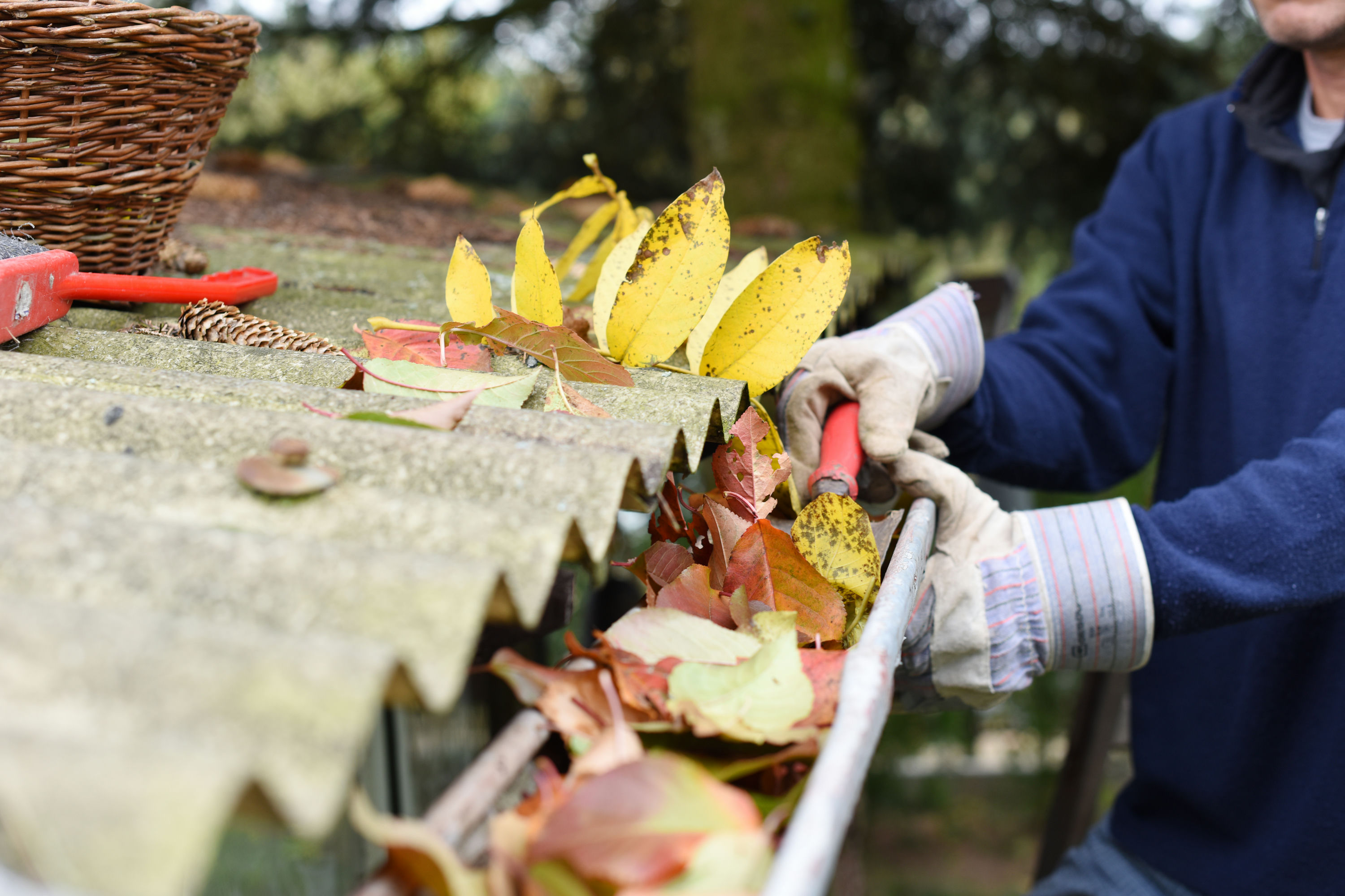 Cost to Clean Gutters Contractor
