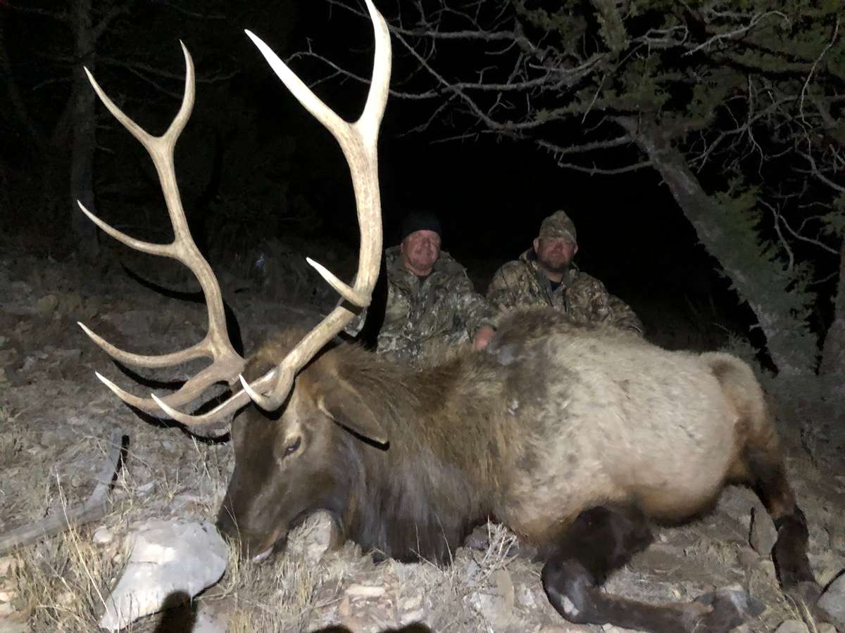 Unit 48, New Mexico Elk Hunt with Landowner Tags in Unit 48, New Mexico