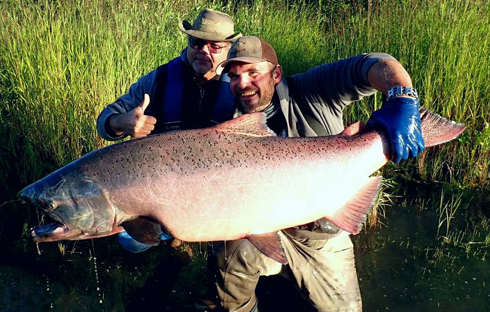 Kenai & Kasilof River Salmon & Rainbow Trout Fishing Charter in