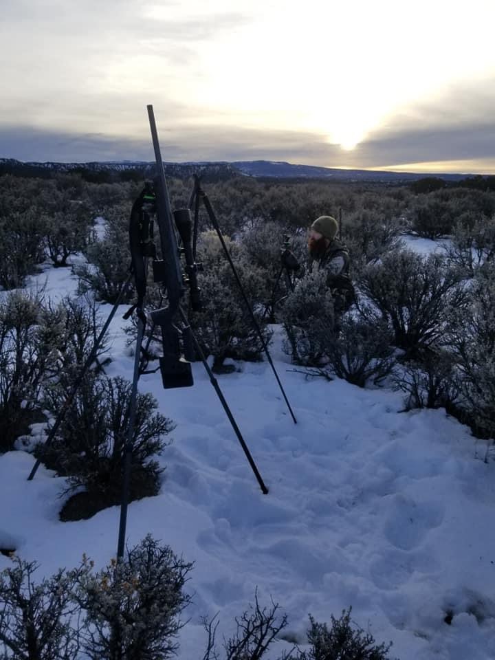 Chama, New Mexico Cow Elk Hunt in Chama, New Mexico, USA Shoshone