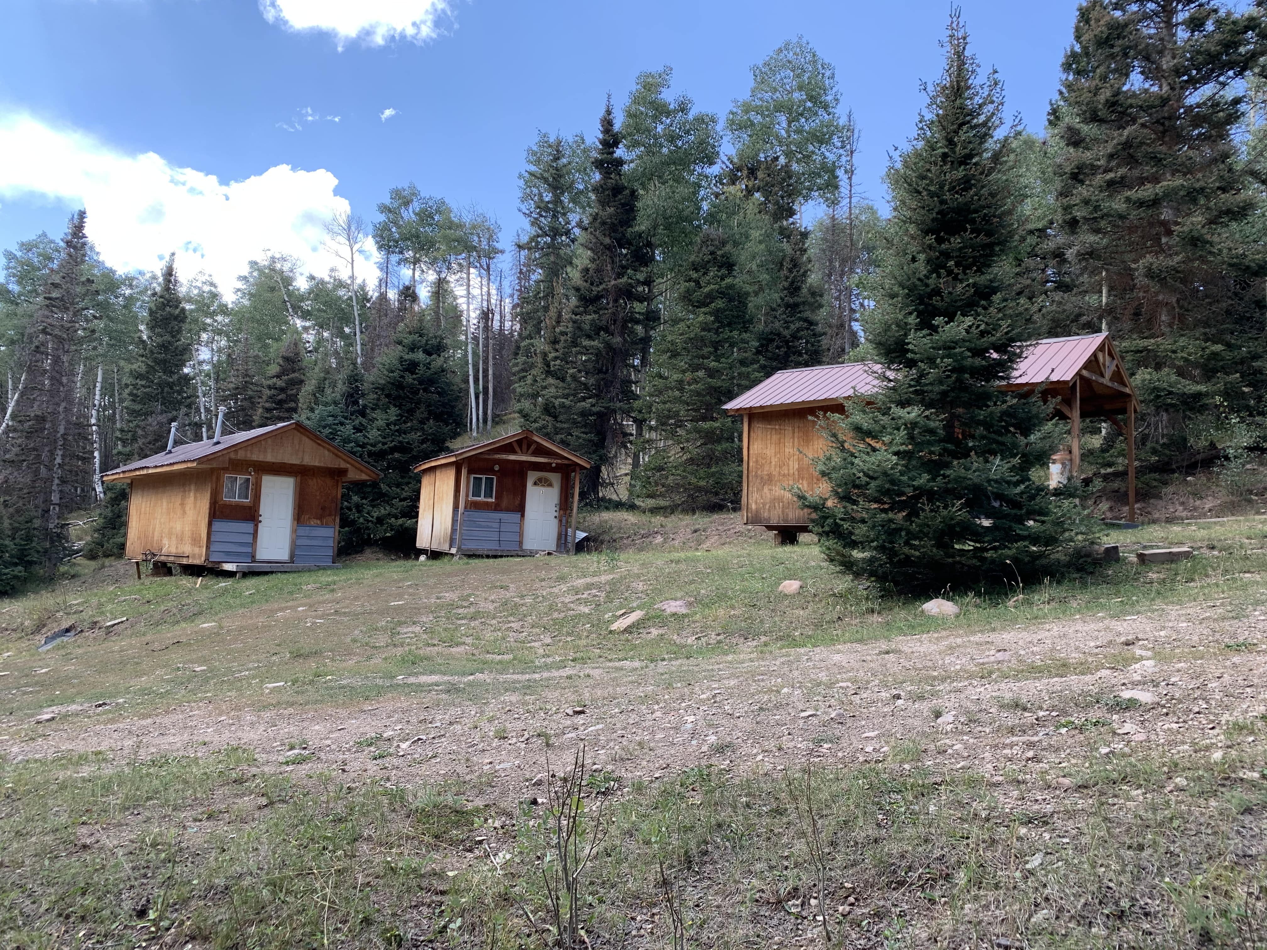 Chama, New Mexico Cow Elk Hunt in Chama, New Mexico, USA Shoshone