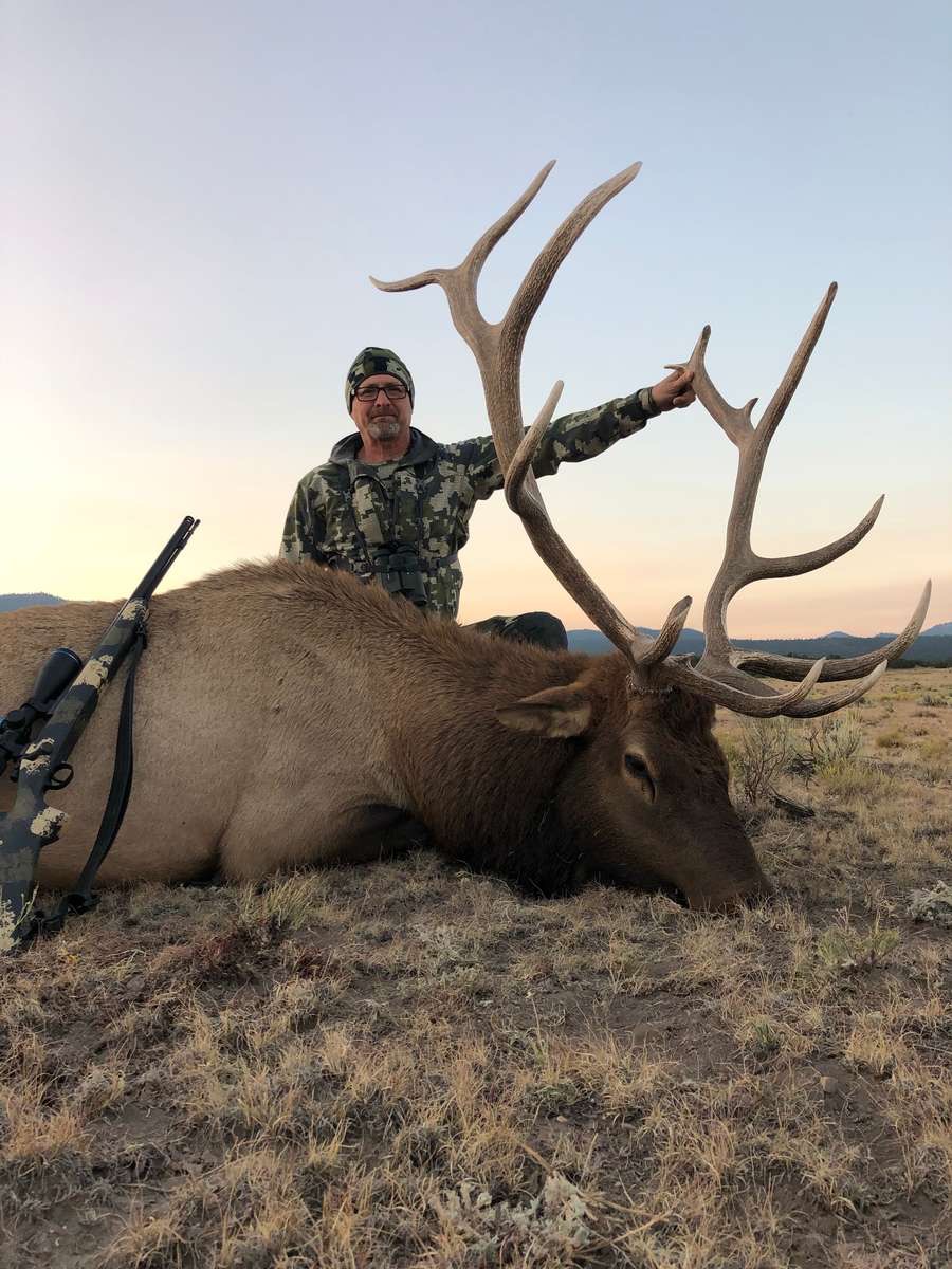 Unit 48, New Mexico Elk Hunt with Landowner Tags in Unit 48, New Mexico, USA Shoshone Adventures