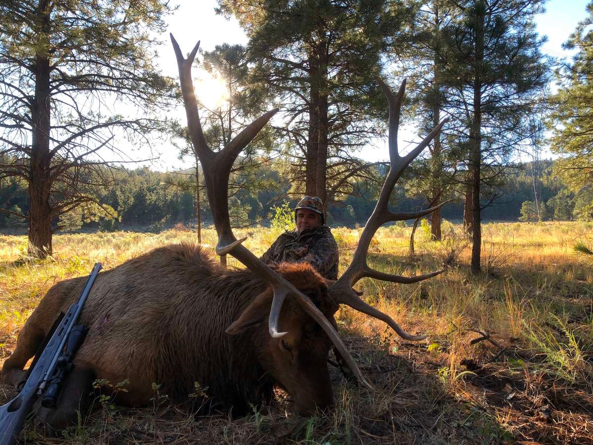 Unit 48, New Mexico Elk Hunt with Landowner Tags in Unit 48, New Mexico