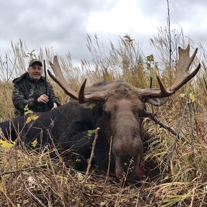 Fort Assiniboine, Alberta Moose Hunt in Fort Assiniboine, Alberta