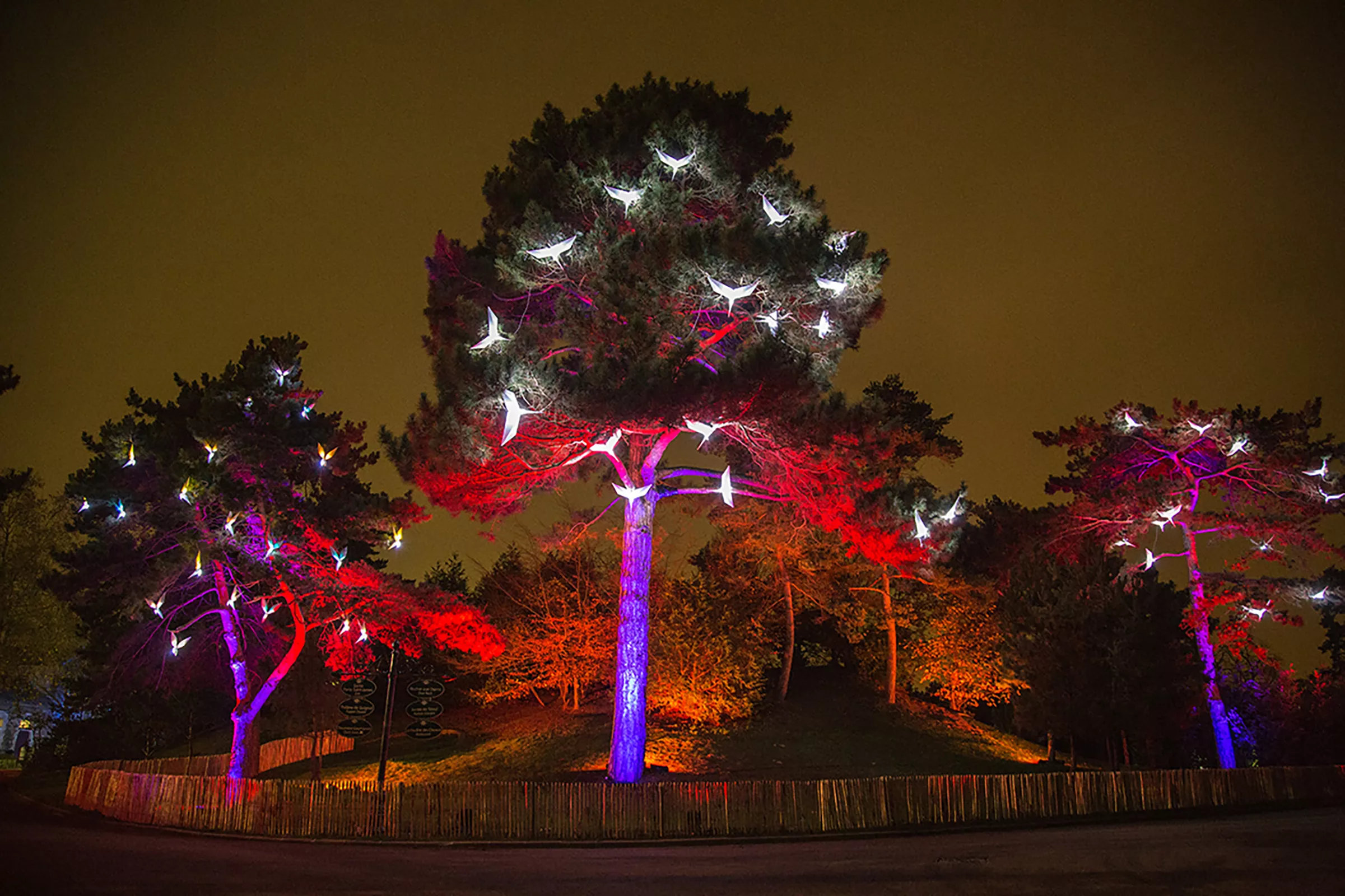 Jardin d'Acclimatation – Réalisation TILT concepteurs de lumières