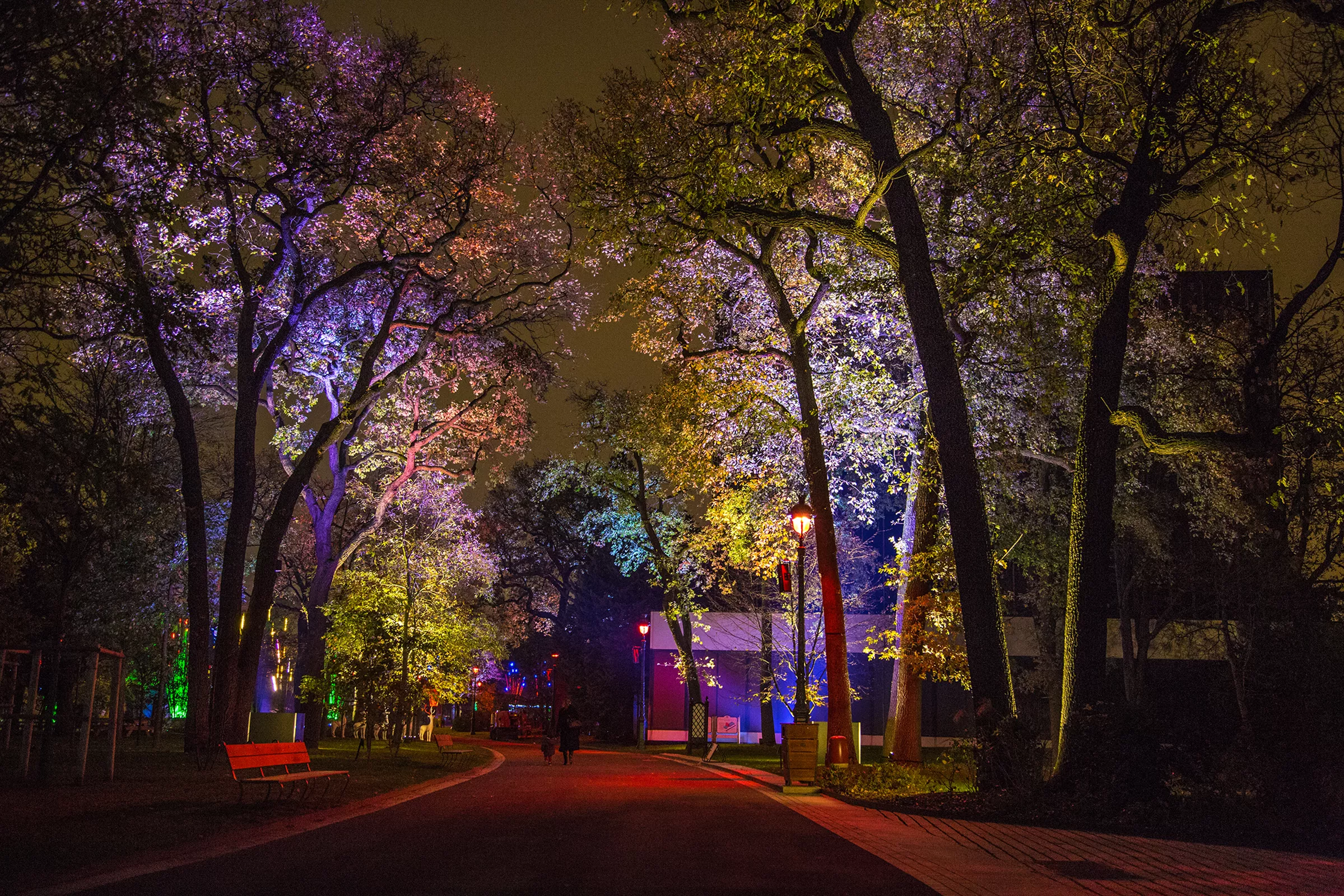 Jardin d'Acclimatation – Réalisation TILT concepteurs de lumières