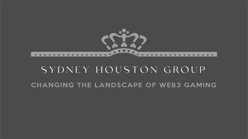 Business advisory services, specializing in the Web3 gaming markets. - Viranium Audits