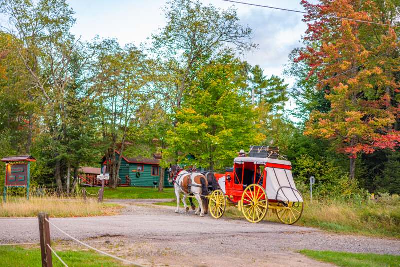 An 1800s Henderson Stagecoach with two Percheron draft horses pass by a brilliantly colored fall tree.