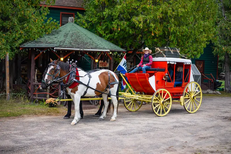 Two Percheron draft horses from Lucky Clover Sleigh Rides provide a horse-drawn Stagecoach ride to guests at the Lake Clear Lodge & Resort.