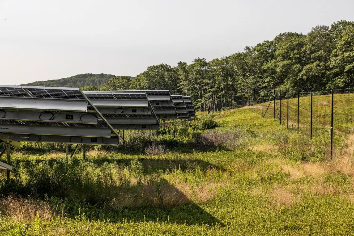 Action Alert Support Balancing Renewable Energy Development with