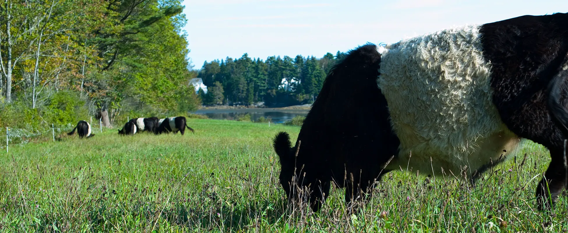 Winslow proposes tax relief program for working farms