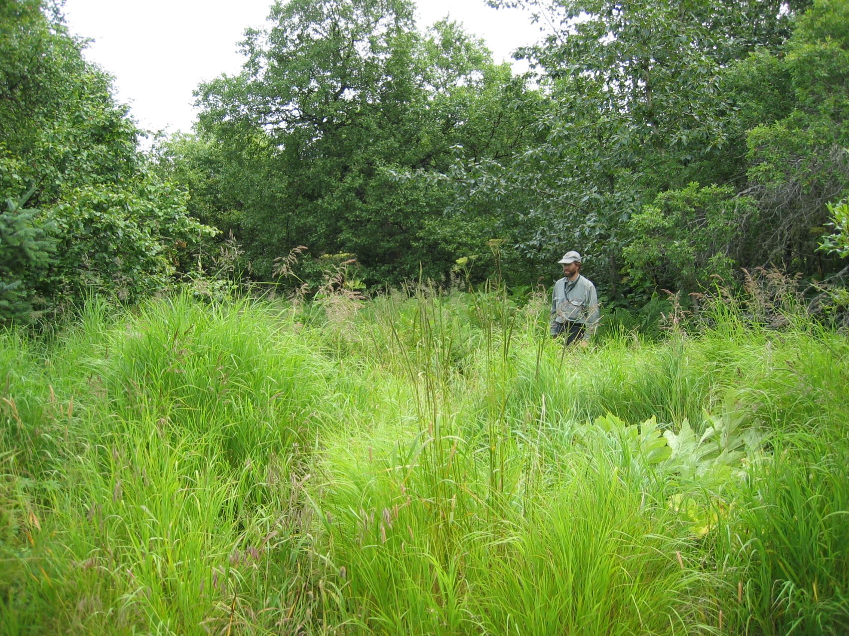 Get Involved with Kodiak Soil & Water Conservation District