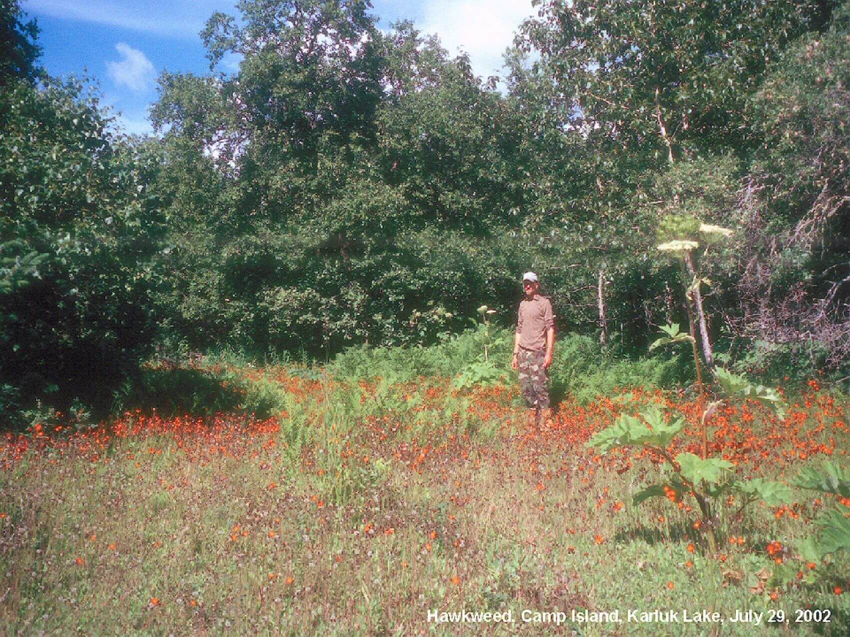 Get Involved with Kodiak Soil & Water Conservation District