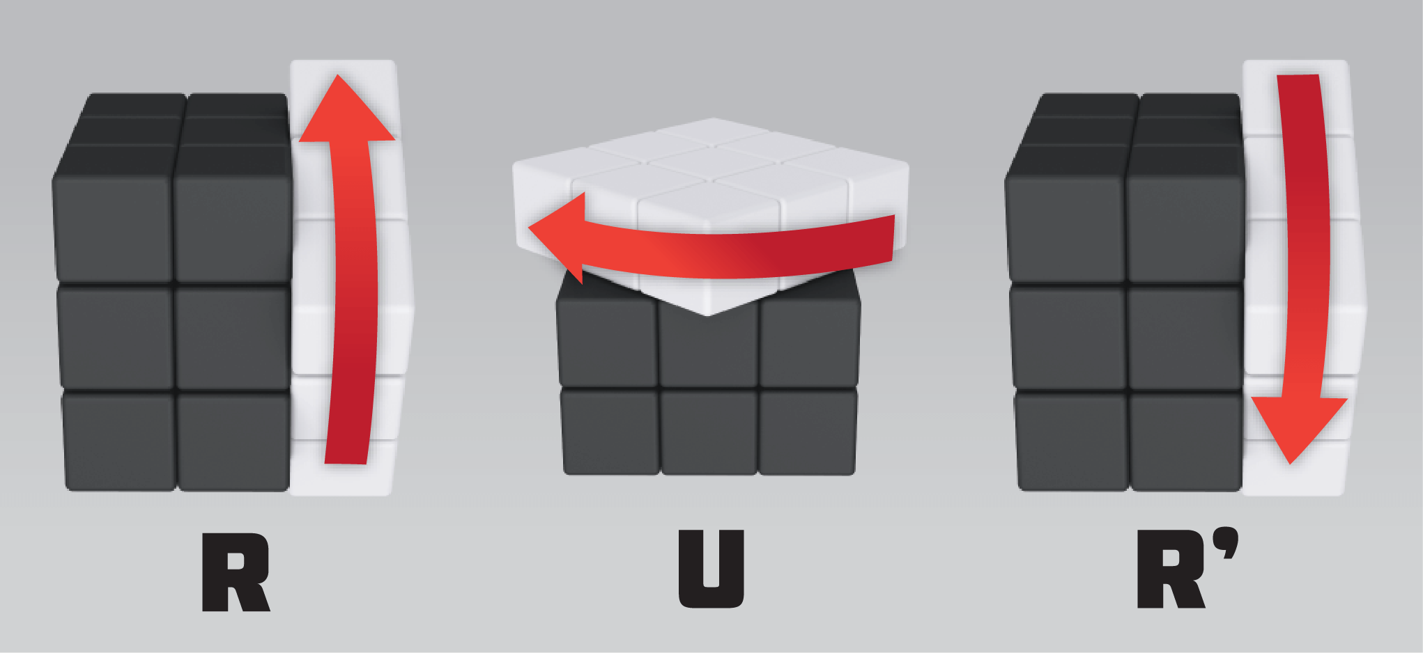 Solve Your First Rubik’s Cube with the Coach Cube!