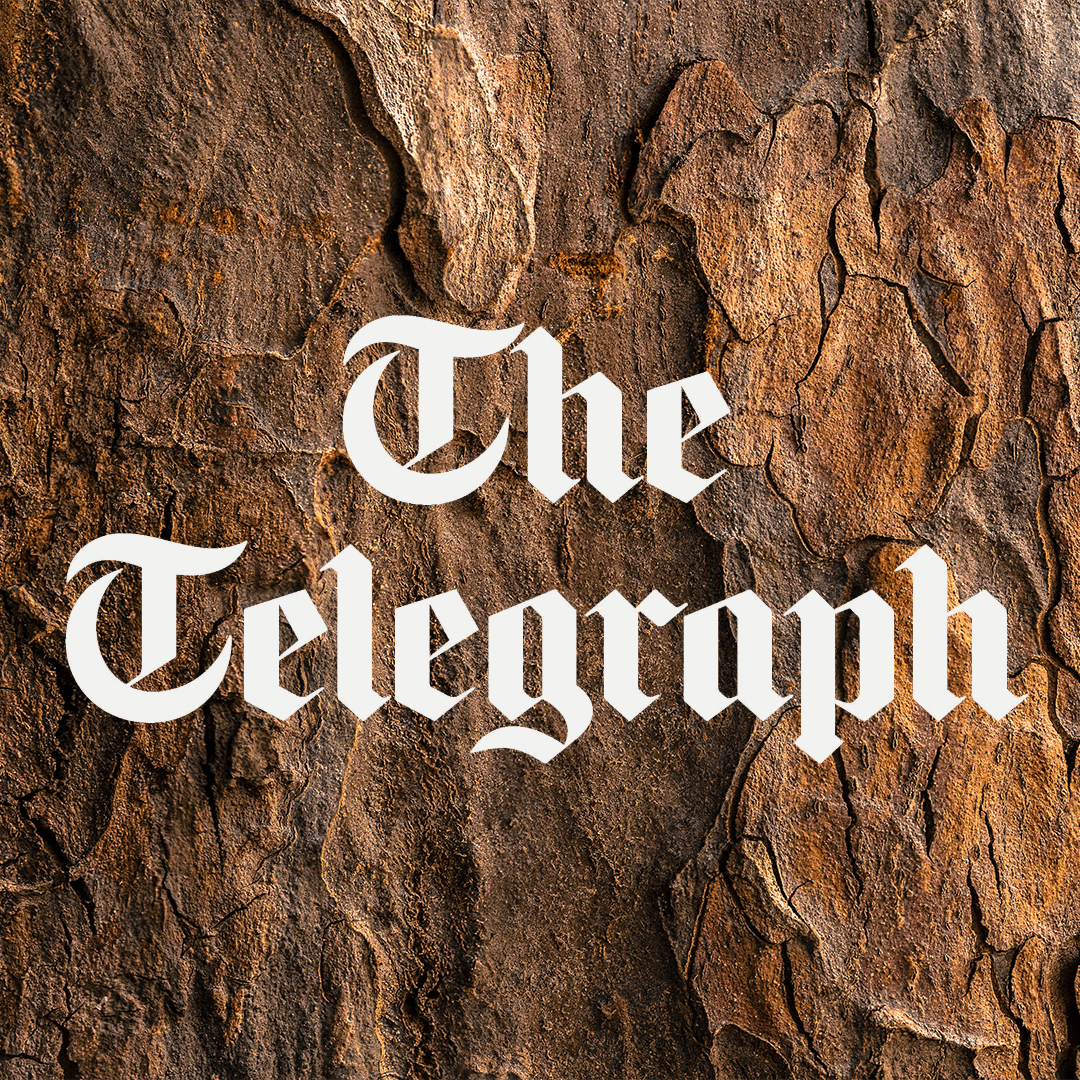 stratospheric balloon company world view press mention icon the telegraph