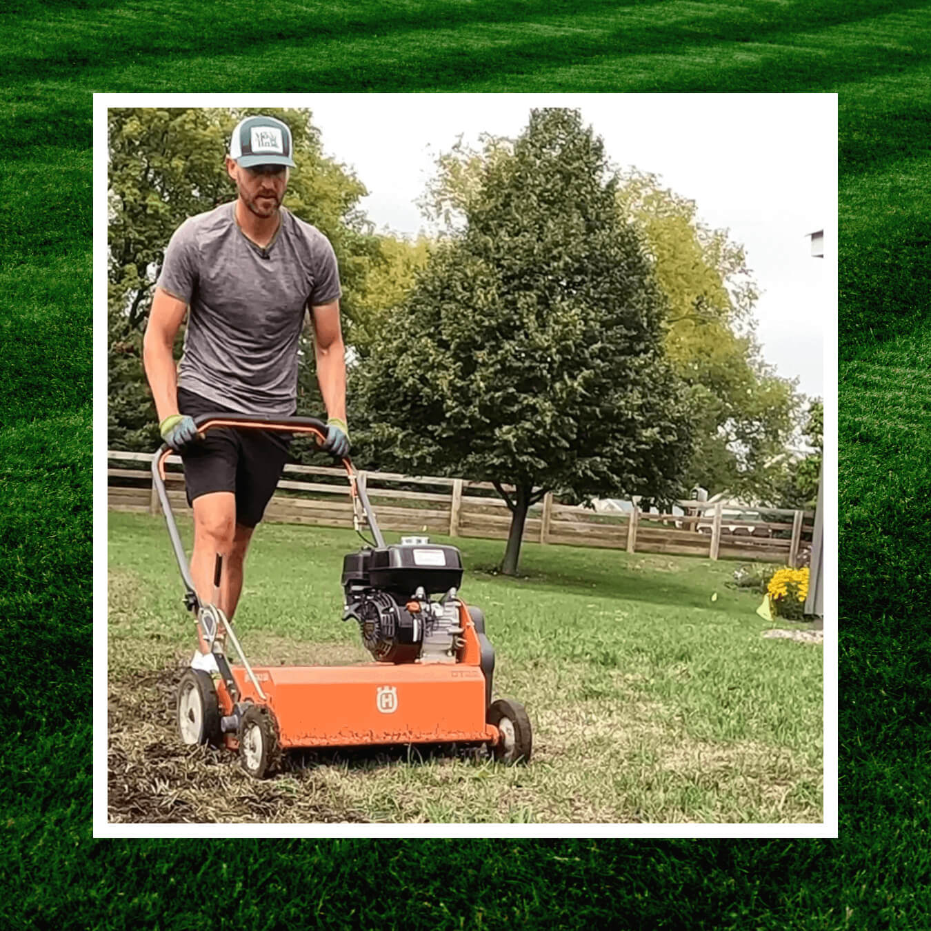 The Basics of Dethatching Your Lawn