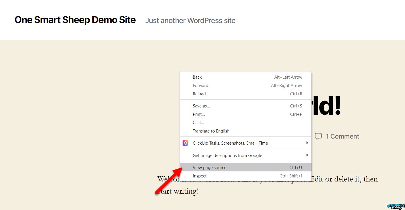How to Check WordPress Version (10 Visual Ways)