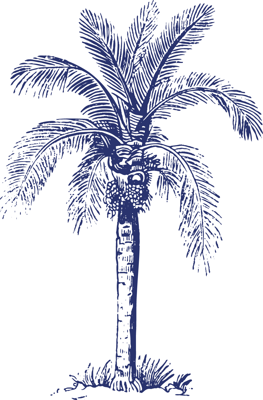 Southern Soul Barbeque