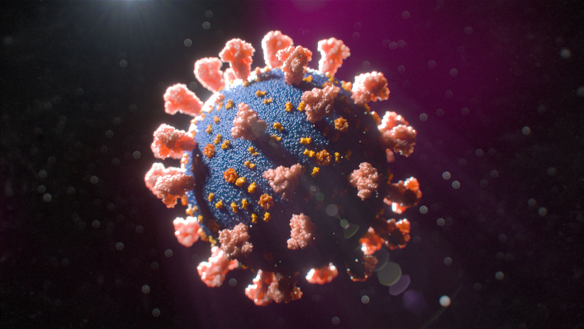 COVID mRNA Vaccine Facts on the Intramuscular Injection Image