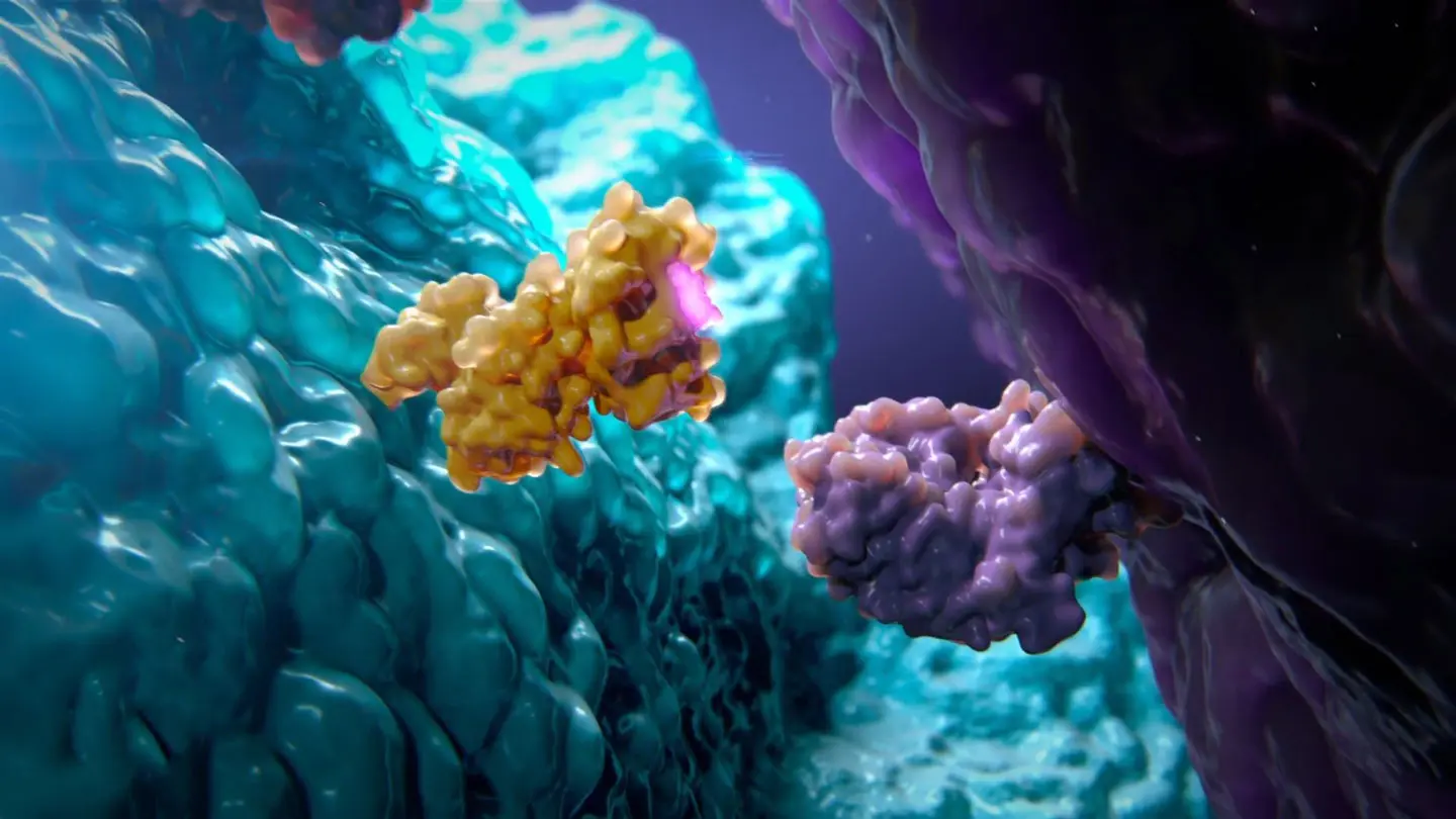 Pharmacology Moa 3d Animation Ghost Medical