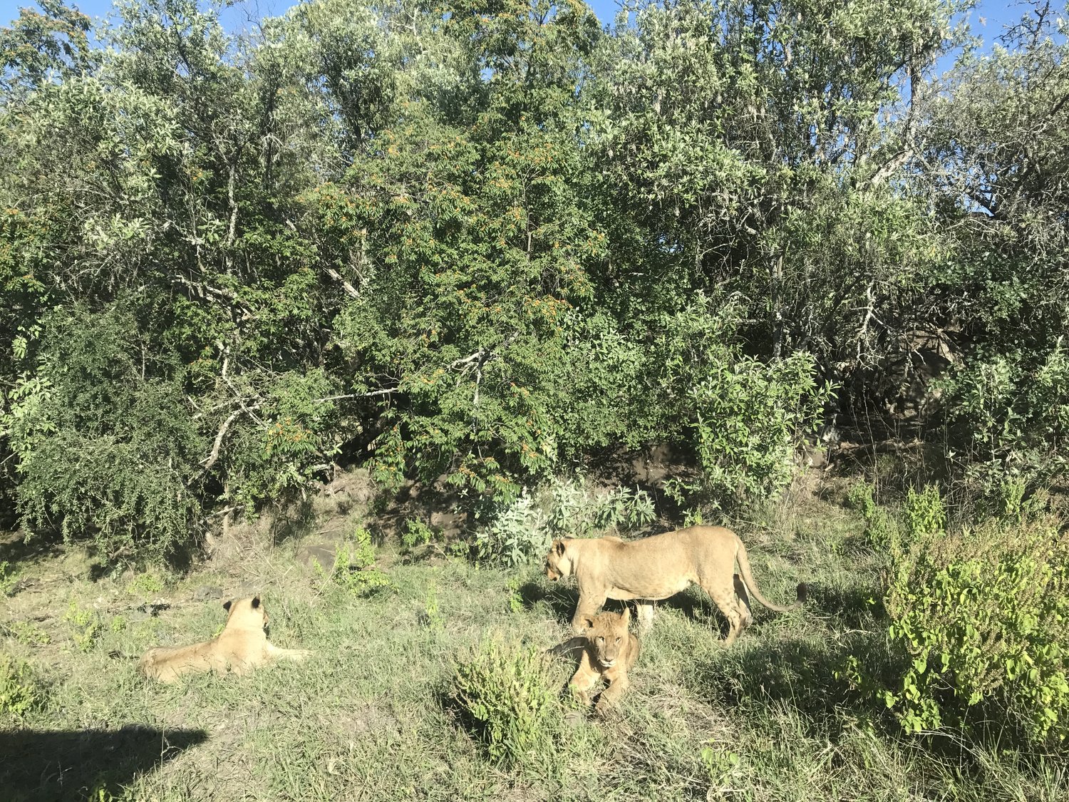 NomadHer — Is Kenya safe for solo female travelers?