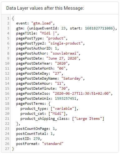 Google Tag Manager Data Layers