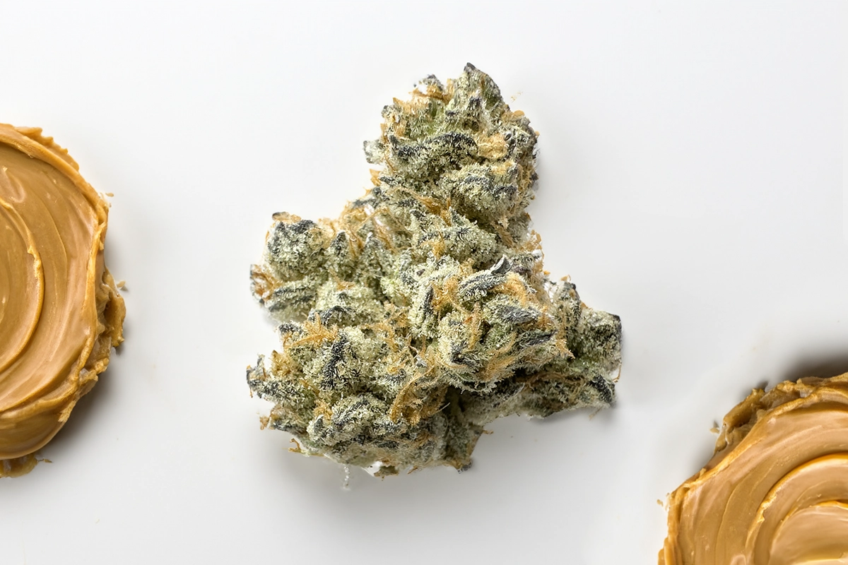 Higher Function Peanut Butter Breath Flower Strain Review