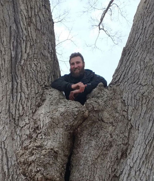 Tree Risk Assessment | Tree Health Evaluation in Ann Arbor, MI