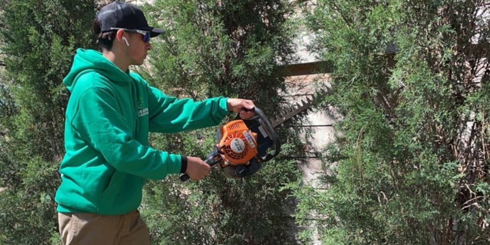 Reliable Landscape Maintenance Solutions Murillo's Landscaping