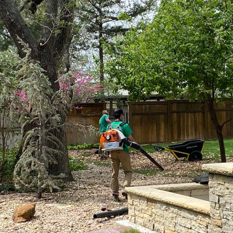 Reliable Landscape Maintenance Solutions Murillo's Landscaping