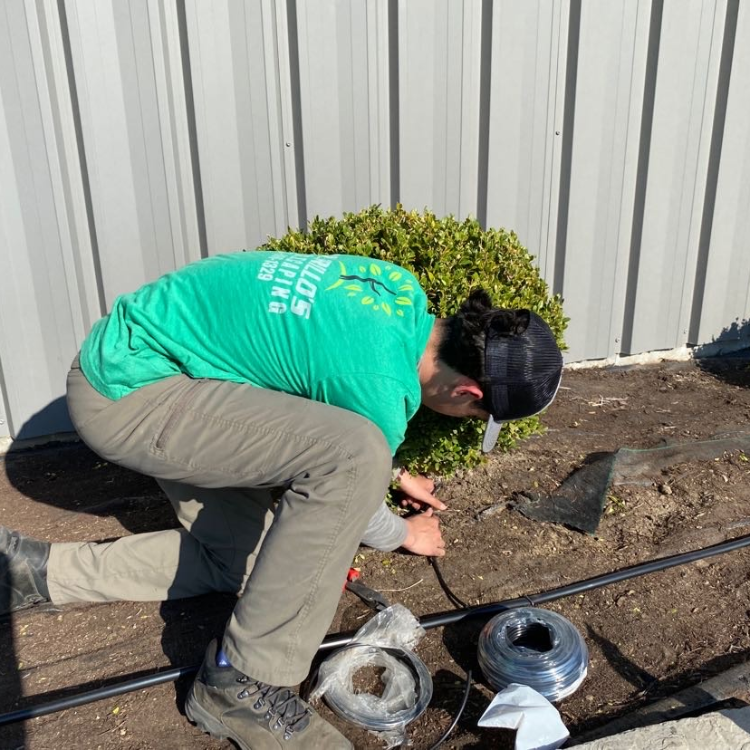 Reliable Landscape Maintenance Solutions Murillo's Landscaping