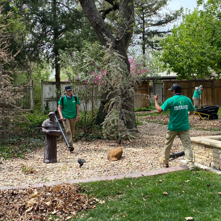 Reliable Landscape Maintenance Solutions Murillo's Landscaping