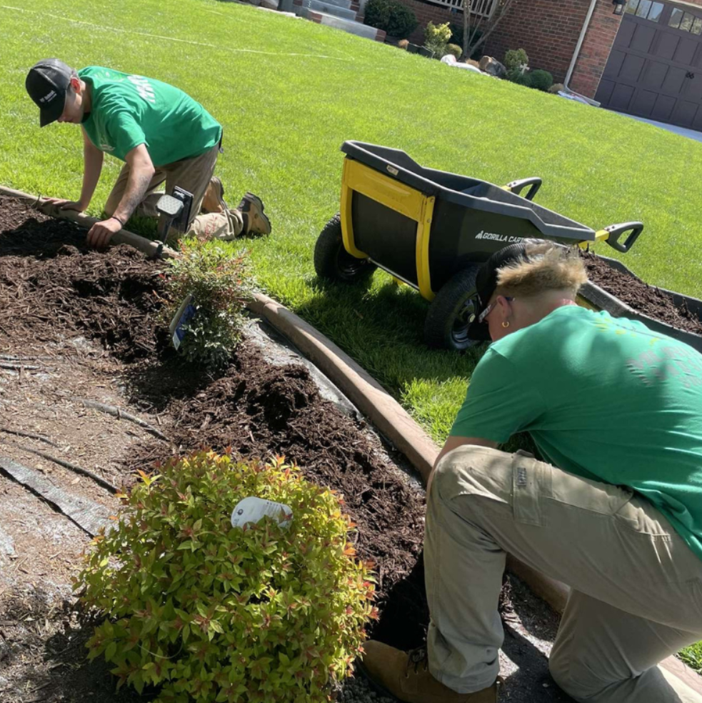 Reliable Landscape Maintenance Solutions Murillo's Landscaping