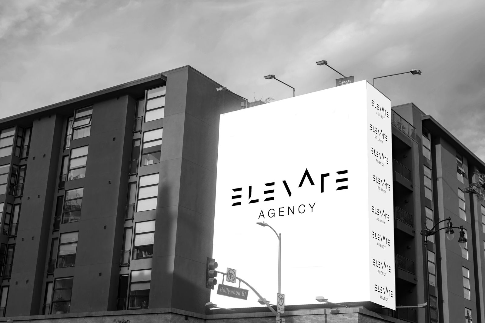 Elevate Agency Website