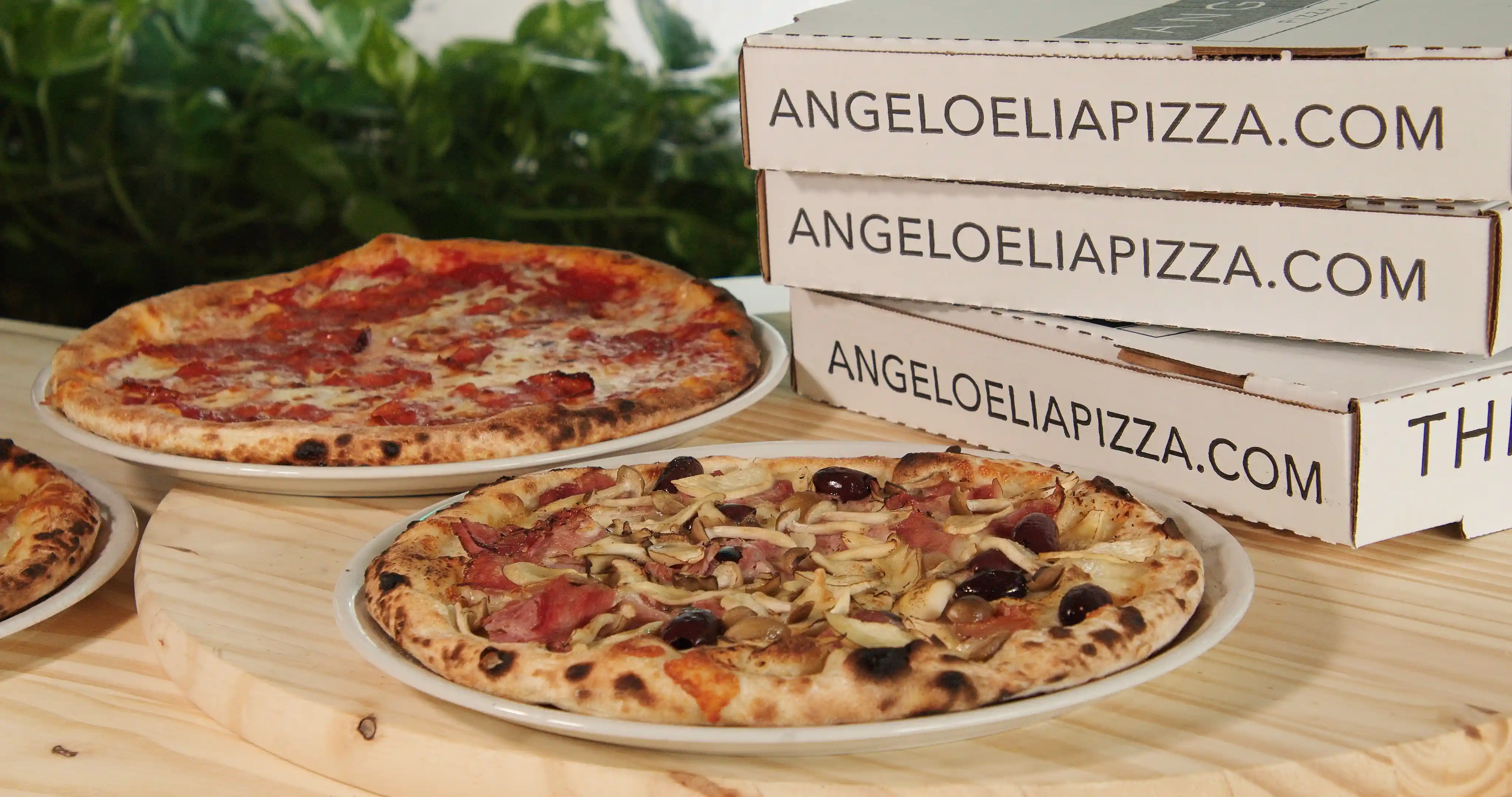 CATERING AT ANGELO ELIA, PIZZA, BAR, TAPAS