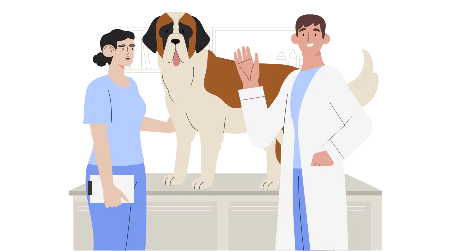 Certificate in Vet Assistance Careerhouse Get Course