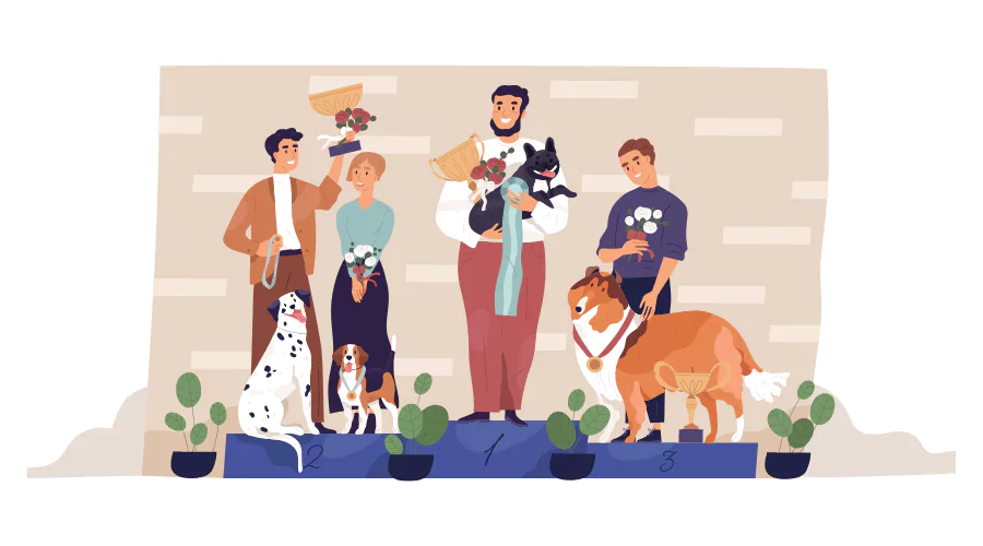 Online Training for Pet Grooming: Techniques and Best Practices