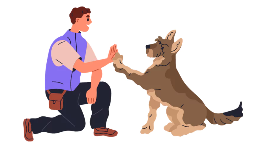 ACM40322 Certificate IV in Animal Behaviour and Training (Dog Training