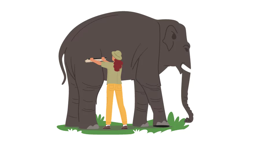 How Much Does It Cost To a Zoologist? Get Course