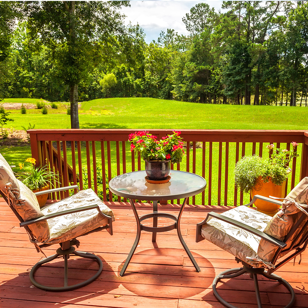 Termite, Pest Control Pensacola, FL Pace, Jay, Milton FL Exterminator